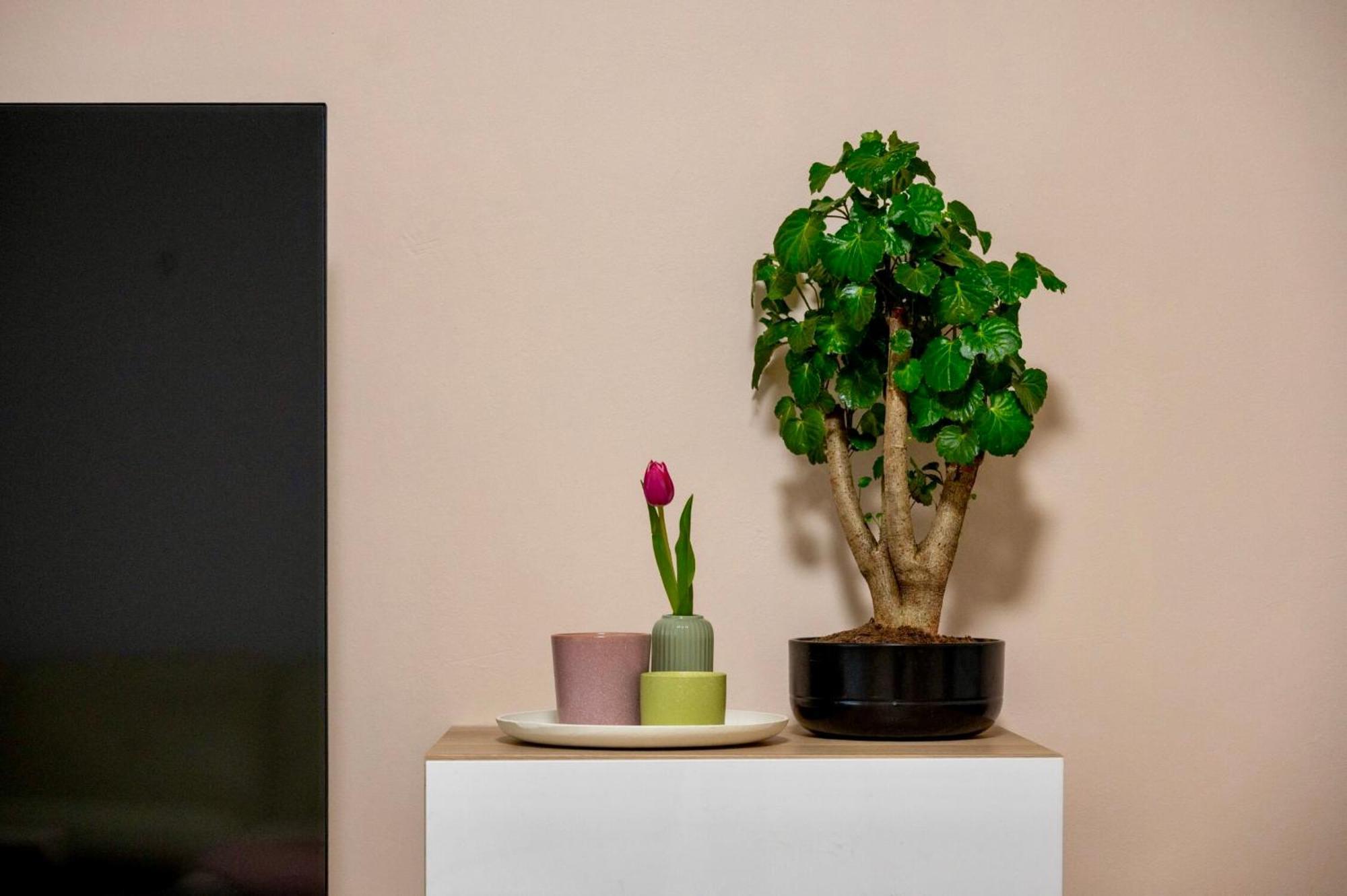 Apartman Family With Free Parking Budapest